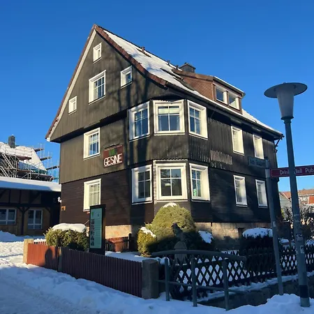 Gesine 3* ブラウンラーゲ